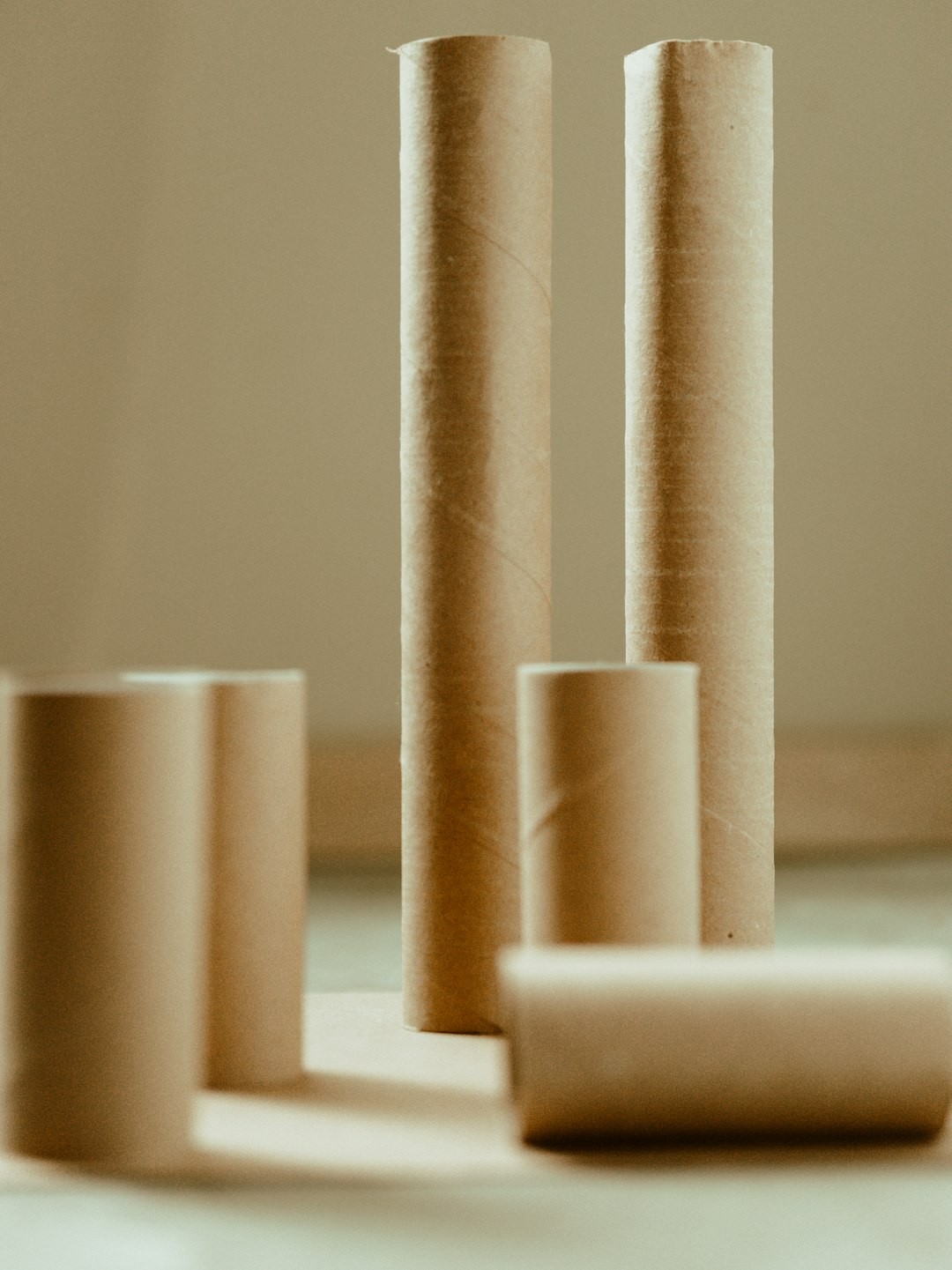 A collection of empty cardboard paper towel rolls and toilet paper rolls.